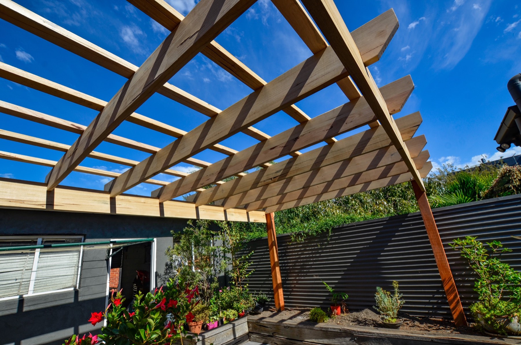 Completed custom timber pergola frame above the established garden